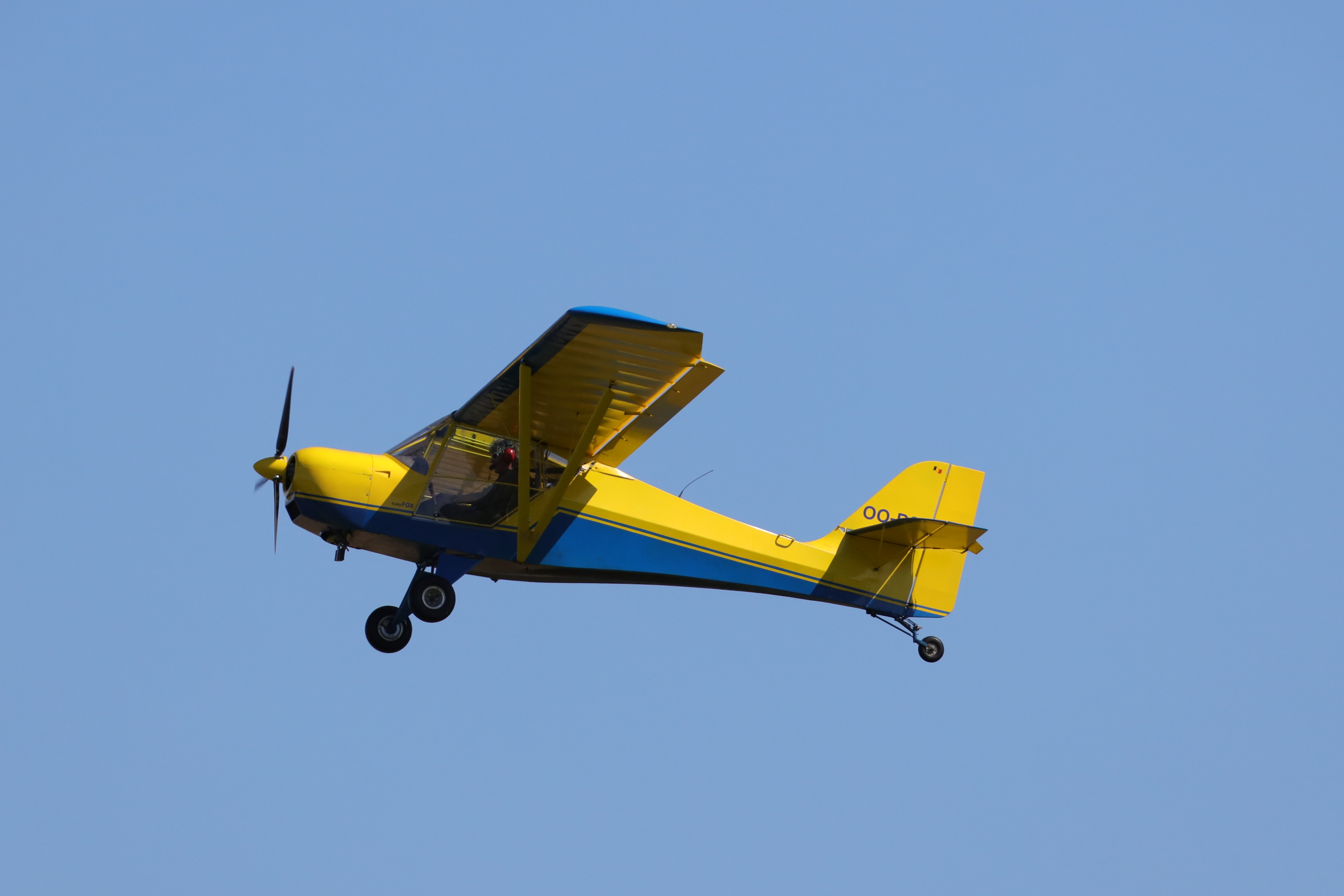 Avion